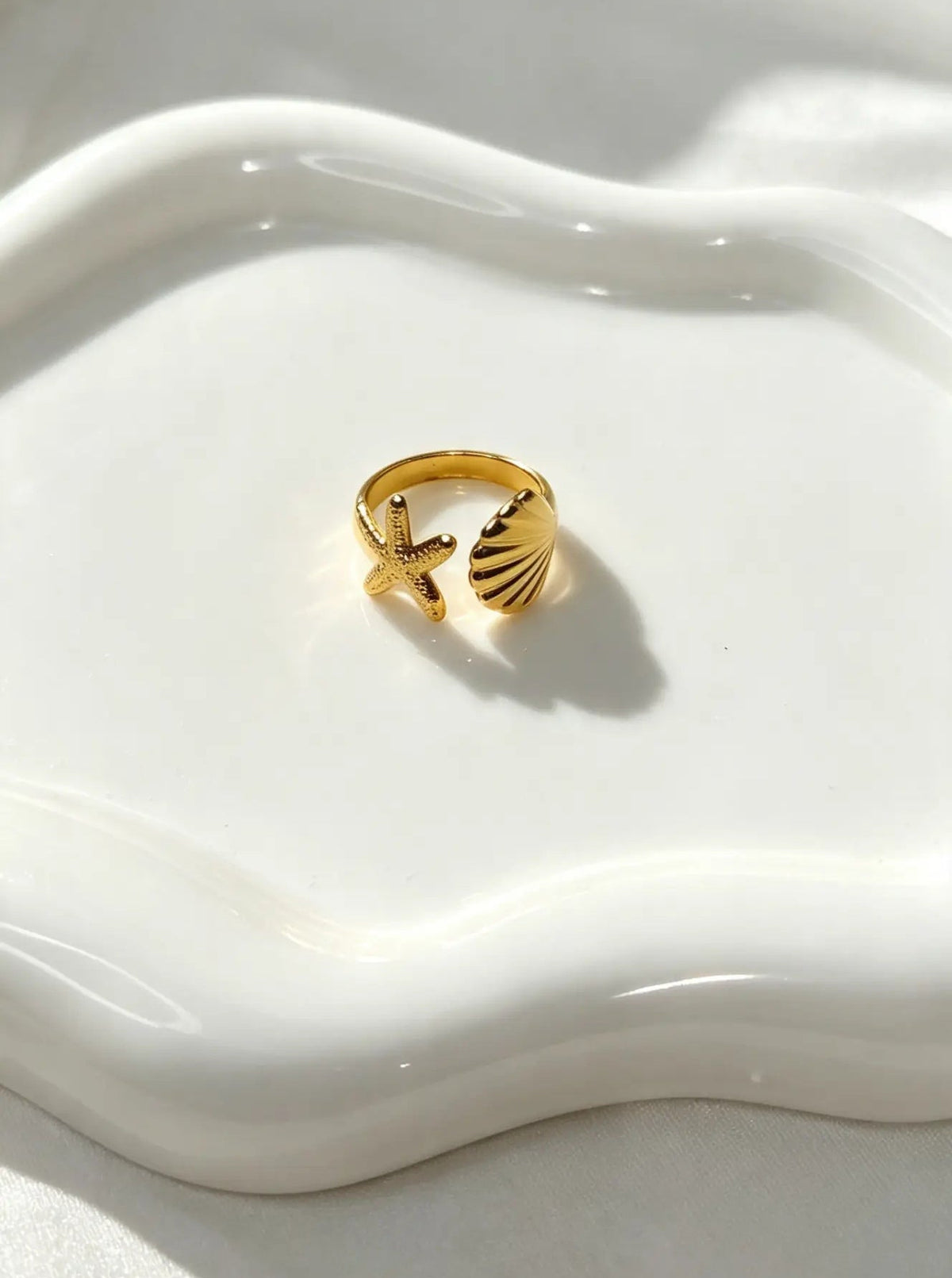 Anillo Marino