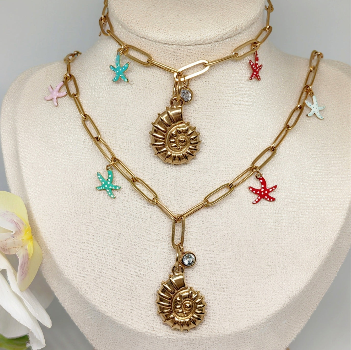 Set Caracol y Estrellas