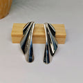Aretes Castor
