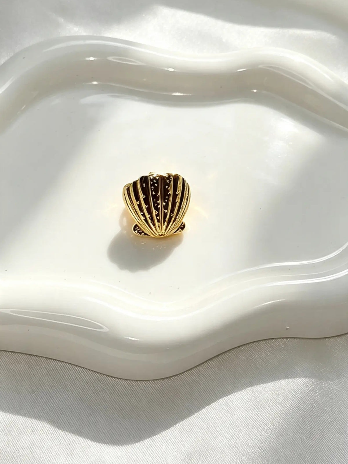Anillo Concha