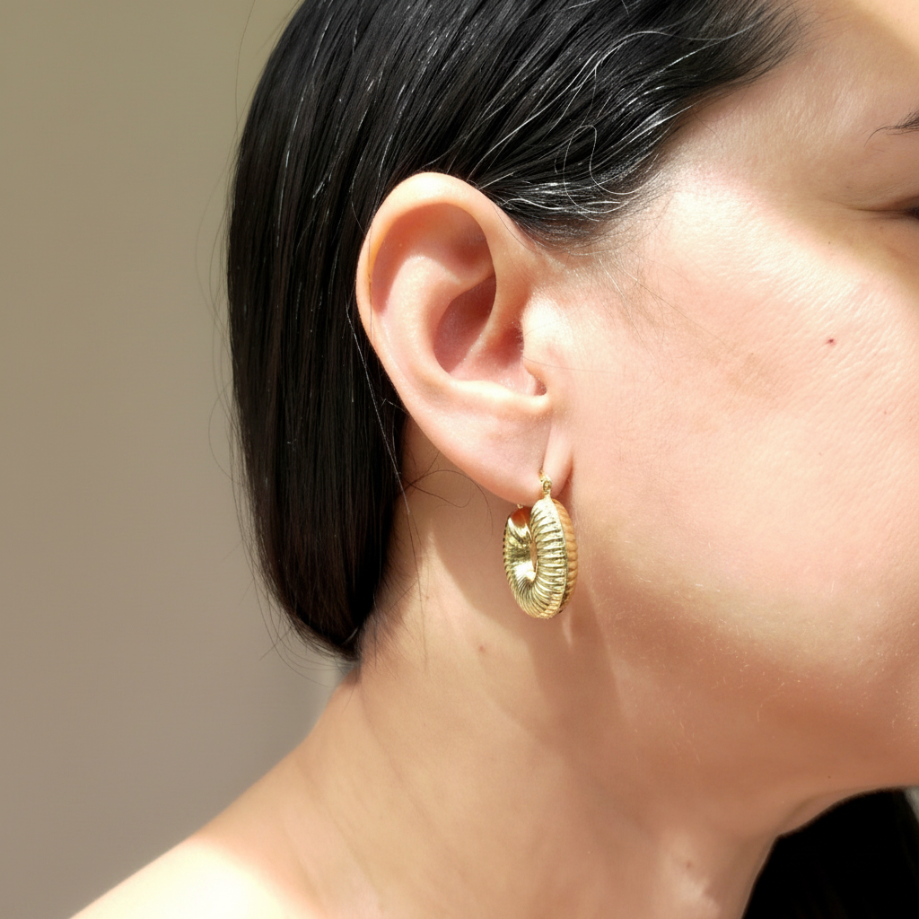 Aretes tipo argollas - Milena