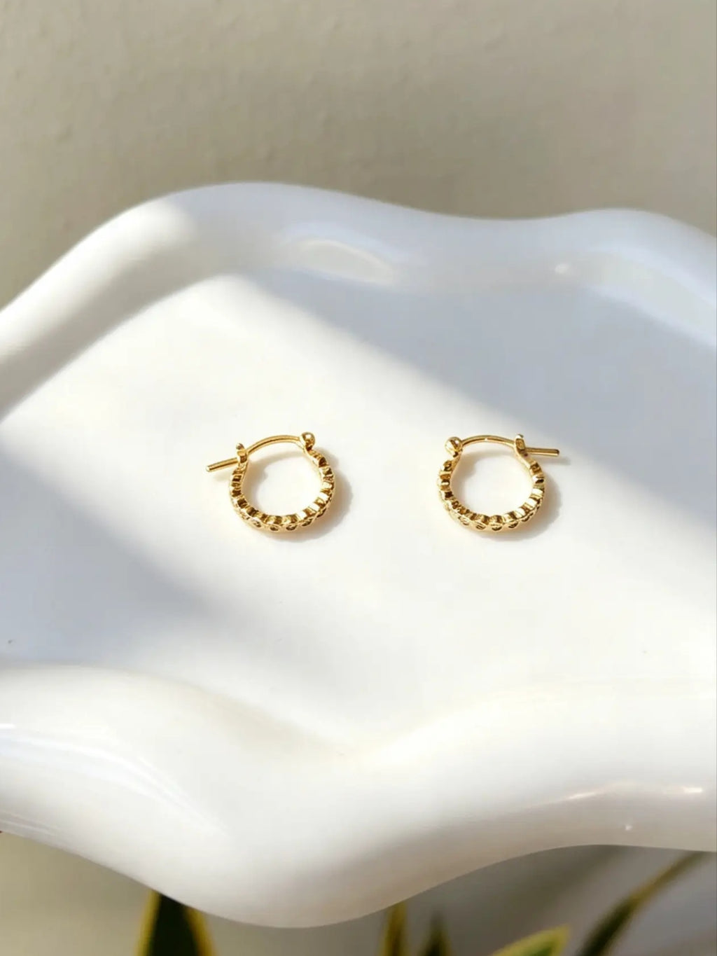 Argollas Circonias
