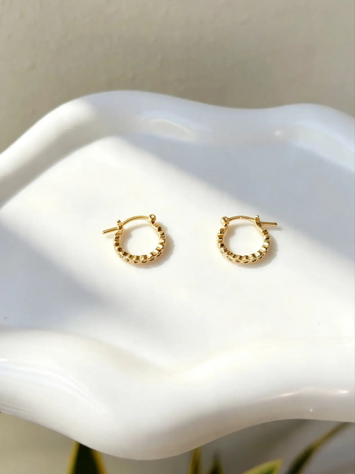 Argollas Circonias